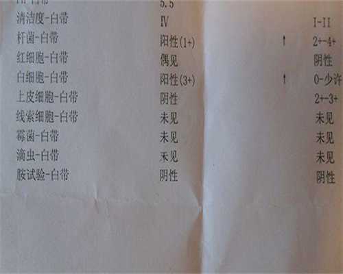 揭秘试管移植前为何要充盈膀胱：提升代生成功率的关键
