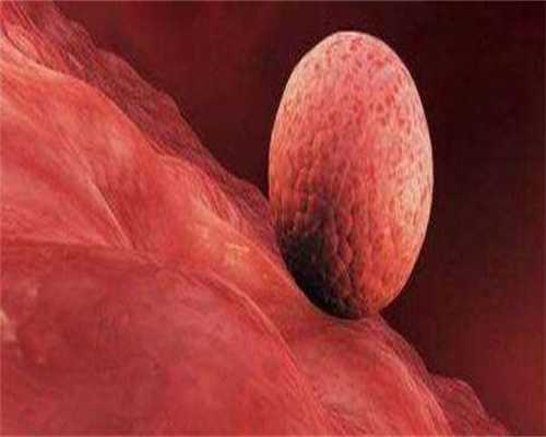 江苏试管助孕：宝宝爽身粉使用指南