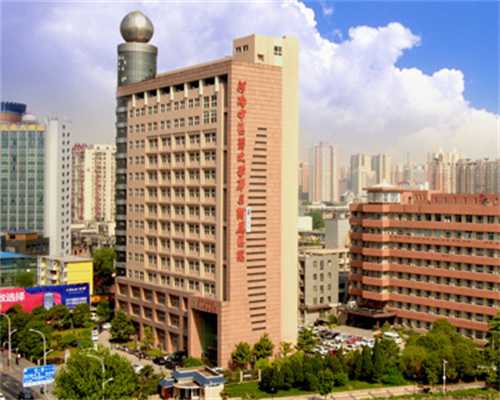 江苏助孕宝宝的营养粥品推荐