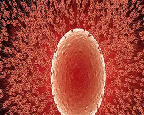 三代试管历程4 检查费用