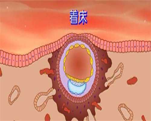 关注江苏试管助孕宝宝体温异常吗？