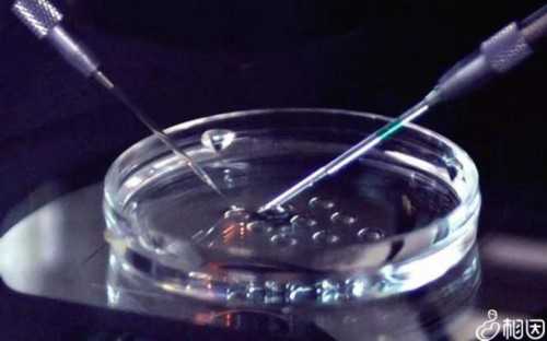 探究江苏助孕宝宝易患手足口病的幕后原因