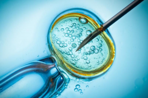 江苏冬季宝宝的润肤秘籍，让肌肤告别干燥