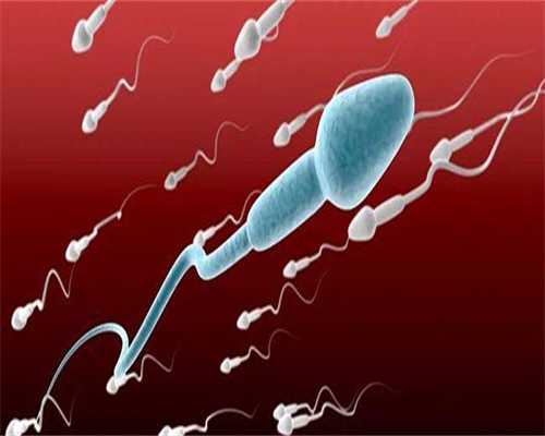 连云港试管助孕成功率解析：几次可达理想目标