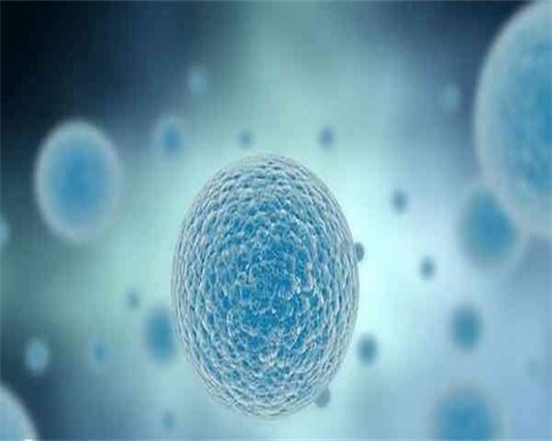 江苏四个月助孕宝宝的贴心呵护指南