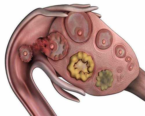 江苏盐城试管婴儿成功率评估