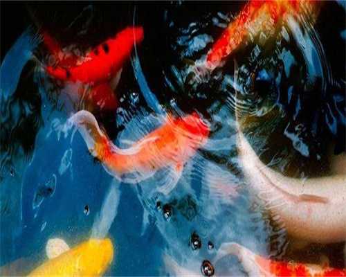 江苏助孕宝宝蔬果喂养技巧