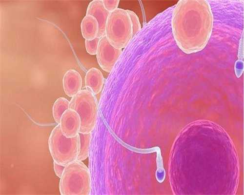 武汉试管供卵婴儿移植后注意事项助您提升着床成功率