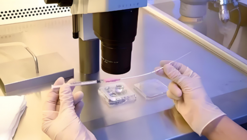 江苏试管助孕宝宝如何科学补锌?