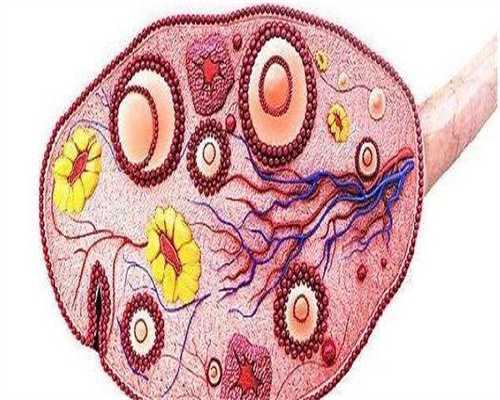 ICSI技术揭秘：探寻第二代试管婴儿的受精奥秘