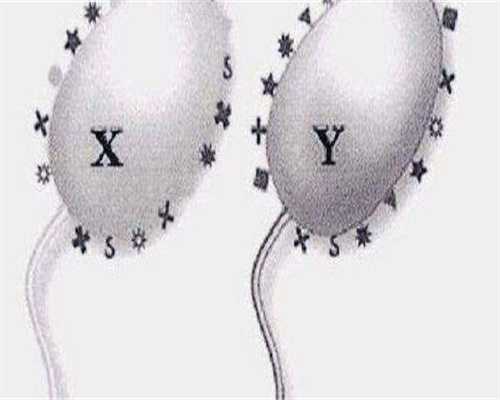 苏州立医院试管婴儿成功率分析