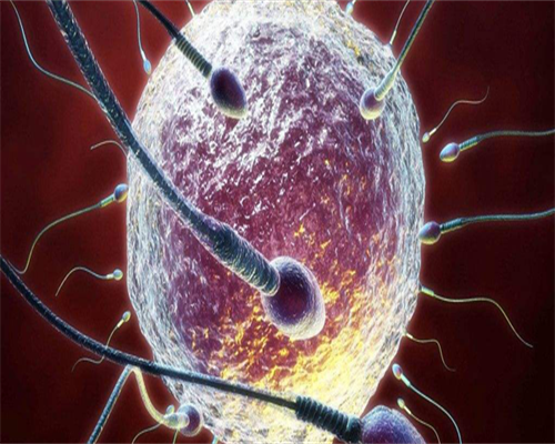 镇江生殖医学中心：正规助孕生殖医院指南