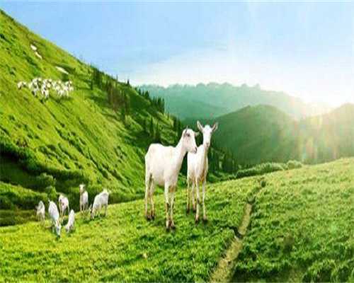 江苏宝宝感冒护理指南