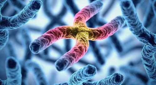 江苏助孕宝宝机能鞋品牌介绍