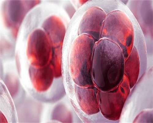 江苏省妇幼产科优秀医生解析：葛志平领衔的专业团队