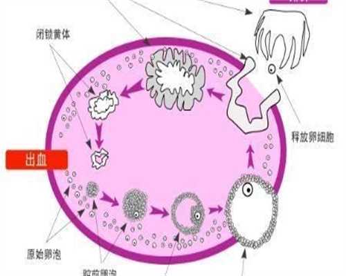 江苏助孕宝宝指甲修剪的巧技巧