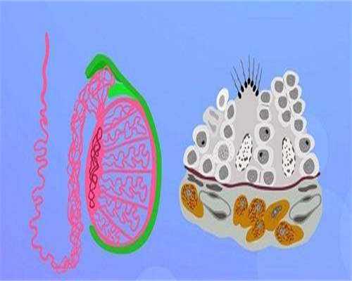 江苏新生儿安全春节“八要”指南