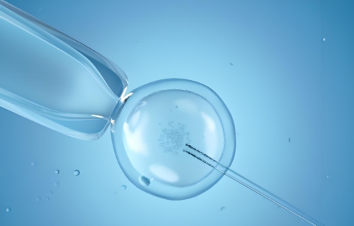 淮安试管婴儿全攻略：费用、流程与成功率解析