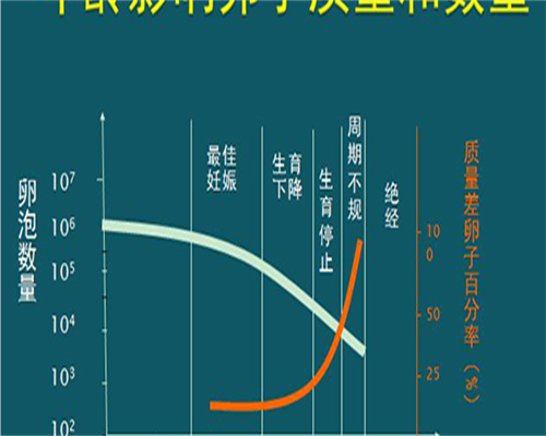 解析江苏助孕宝宝为何“提前出炉”
