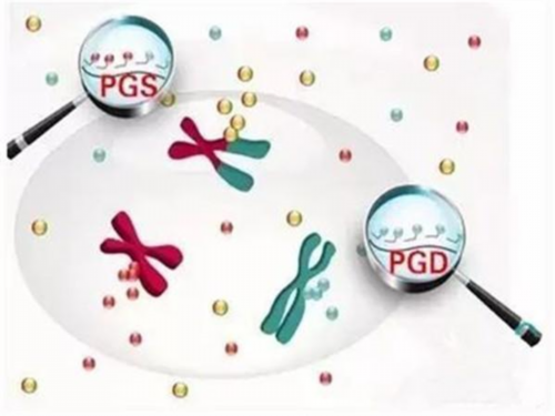 江苏1-2岁助孕宝宝的科学营养膳食指南