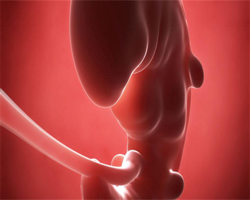 镇江试管助孕花费知多少？一次成功需要多少钱？