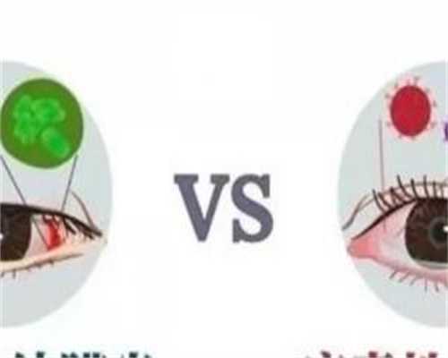 生育男孩秘诀：掌握饮食、排卵与心态的自然调理之道