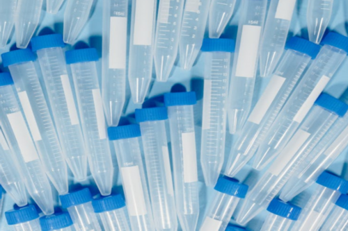 第三代试管婴儿技术是否能有效规避胚胎停育？