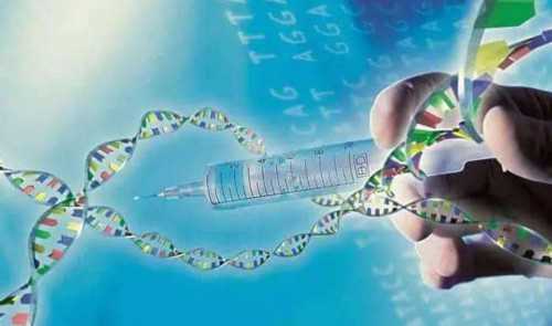 “新鲜胚胎还是冷冻胚胎”，试管婴儿如何选择—华运宝，试管助孕机构