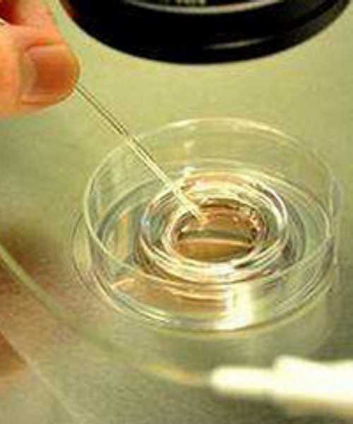 备孕期间如何科学运动