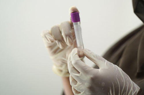 武汉军婚婚检费用与流程解析