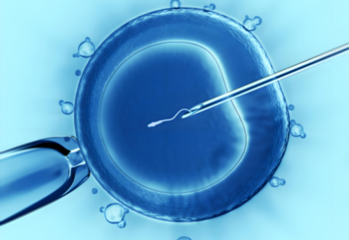 求子心切？中医调理备孕男孩，科学助孕或成新选择