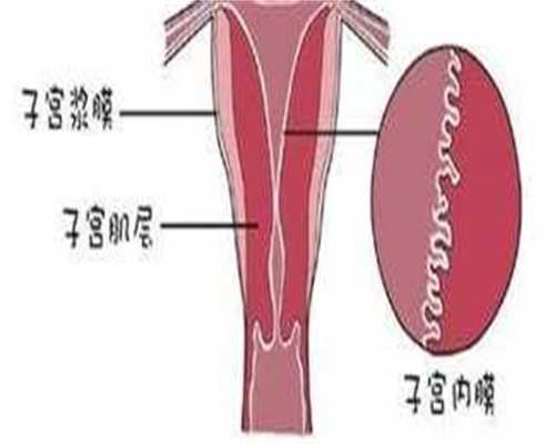 试管代孕助您好孕：甲状腺问题如何影响生育？