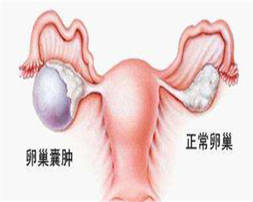 甲亢妈妈的担忧:宝宝足底血检查异常,是否与母体甲状腺问题相关?