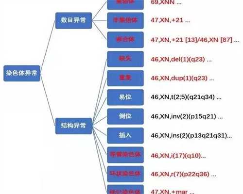 一岁半江苏助孕宝宝早教选择:是送幼儿园还是早教班?