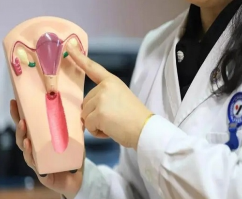 威海成都三代代生技术比较与选择