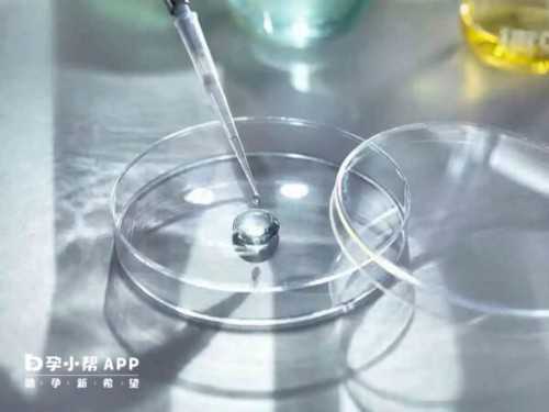 江苏10个月宝宝成长喜报:动作发展与安全须知