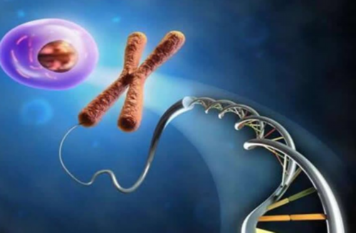 如何科学为江苏助孕宝宝洗澡，呵护其娇嫩肌肤