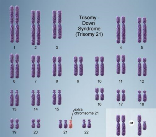 三代试管婴儿助孕，为何仍有胎停育风险？
